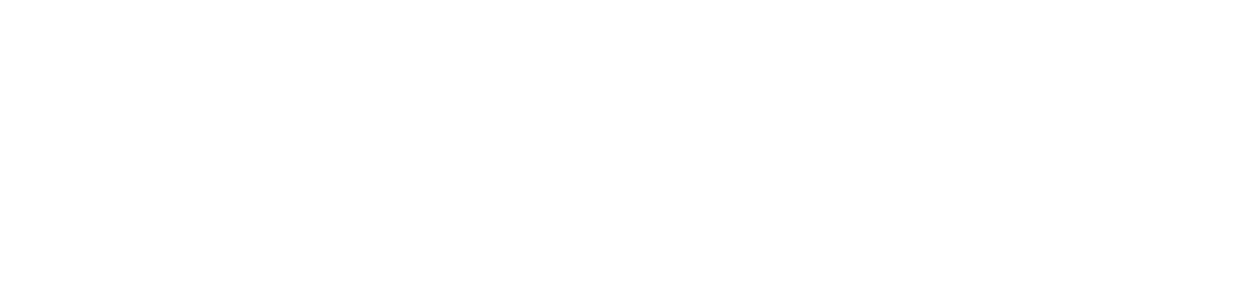 Vertiports Network®